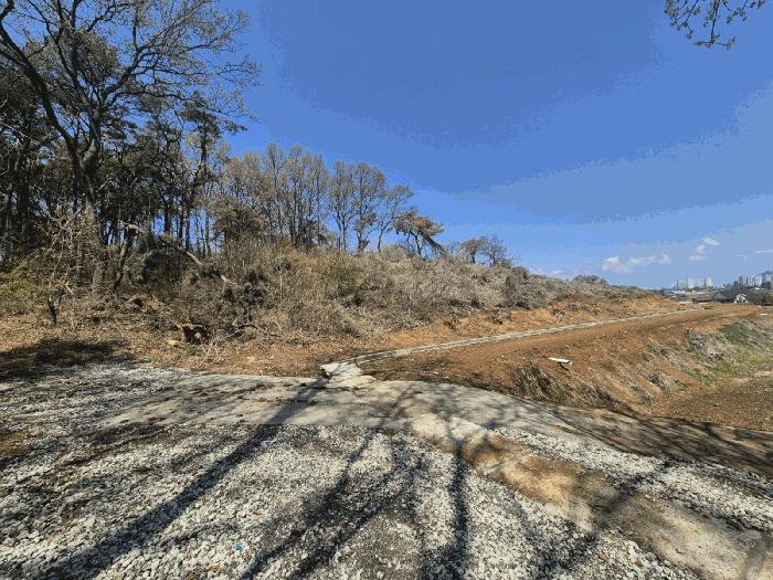 경기도 평택시 현덕면 도대리 산42-5 임야 경매 사진 2