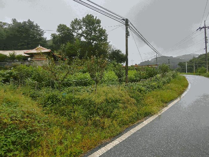충청남도 부여군 규암면 금암리 366-2 전 경매 사진 3