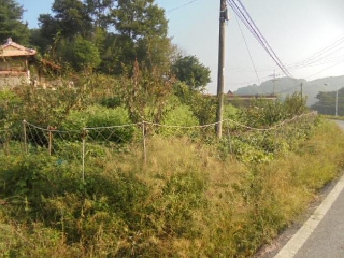 충청남도 부여군 규암면 금암리 366-2 전 경매 사진 4