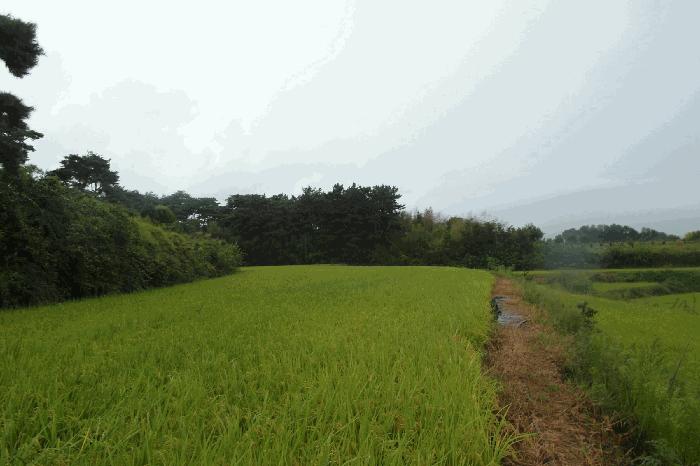 충청남도 논산시 광석면 갈산리 618-70 답 경매 사진 4