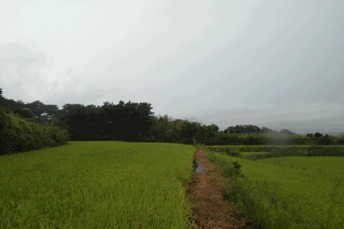 충청남도 논산시 광석면 갈산리 618-70 답 경매 사진 8