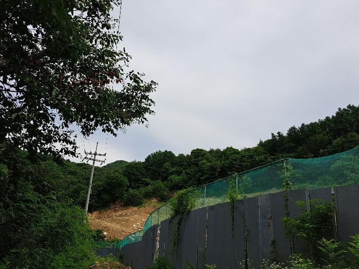 충청북도 제천시 덕산면 도전리 1038 임야 경매 사진 5