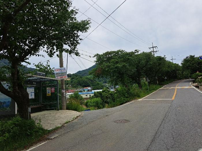 충청북도 제천시 덕산면 도전리 1430 답 경매 사진 6