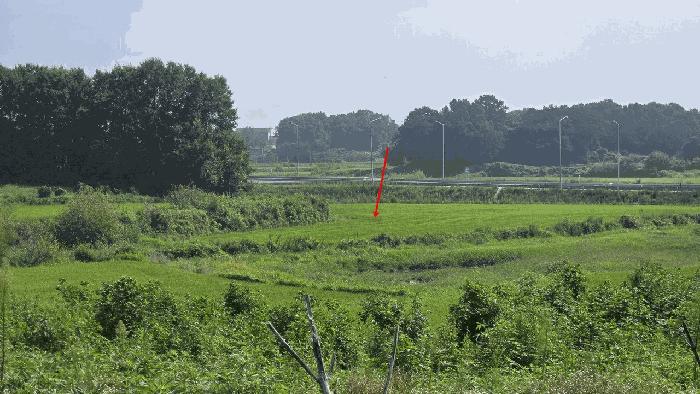 경기도 평택시 현덕면 운정리 300-3 전 경매 사진 3