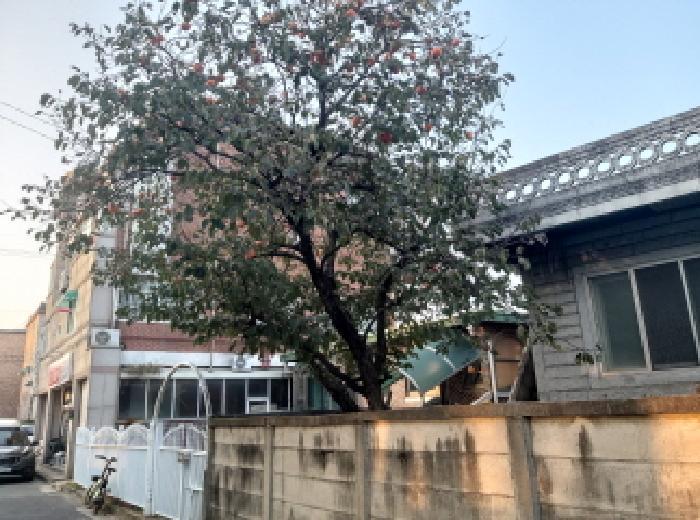 경기도 평택시 합정동 939-14 주택 경매 사진 12
