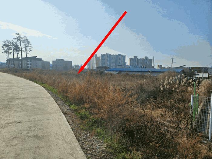 경기도 평택시 신장동 60 답 경매 사진 1