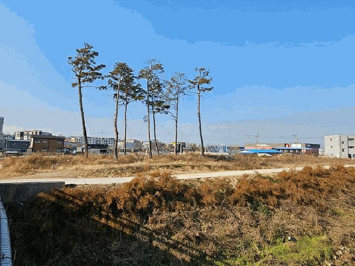경기도 평택시 신장동 60 답 경매 사진 9