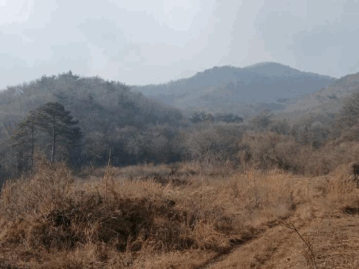 경기 안성시 임야