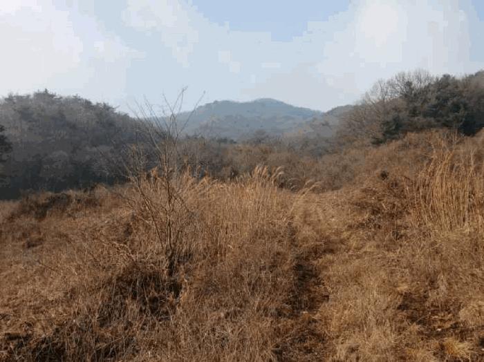 경기도 안성시 죽산면 칠장리 산82-28 임야 경매 사진 4