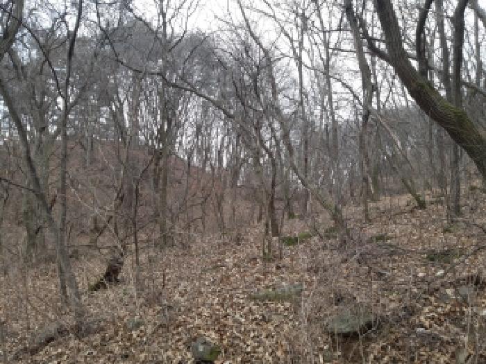 경기도 안성시 죽산면 칠장리 산82-28 임야 경매 사진 7