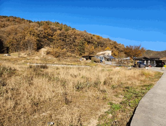 충청북도 음성군 금왕읍 금석리 20-3 전 경매 사진 10