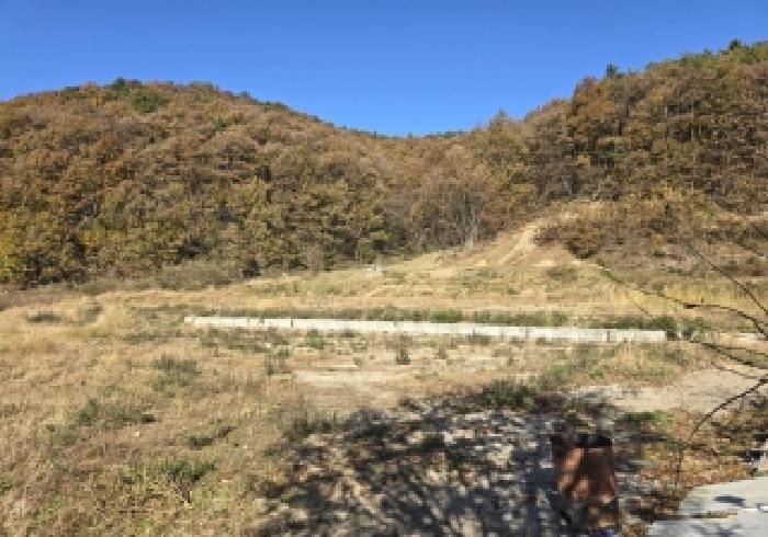 충청북도 음성군 금왕읍 금석리 20-3 전 경매 사진 12