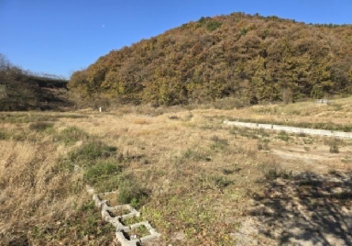 충청북도 음성군 금왕읍 금석리 20-3 전 경매 사진 13