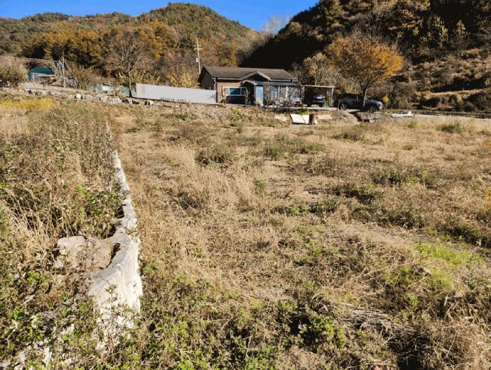 충청북도 음성군 금왕읍 금석리 20-3 전 경매 사진 2