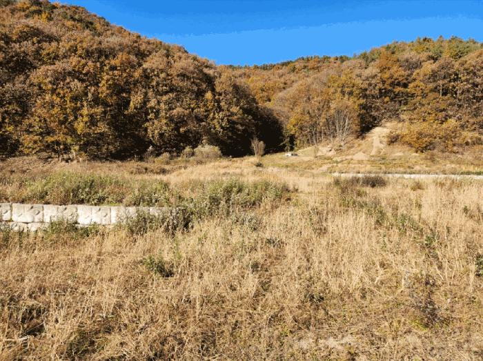 충청북도 음성군 금왕읍 금석리 20-3 전 경매 사진 4