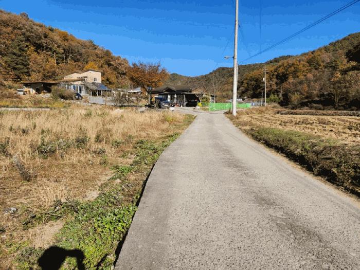 충청북도 음성군 금왕읍 금석리 20-3 전 경매 사진 6