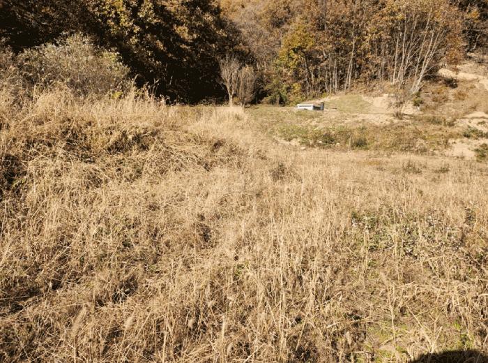 충청북도 음성군 금왕읍 금석리 20-3 전 경매 사진 7