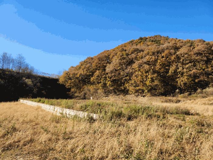 충청북도 음성군 금왕읍 금석리 20-3 전 경매 사진 8