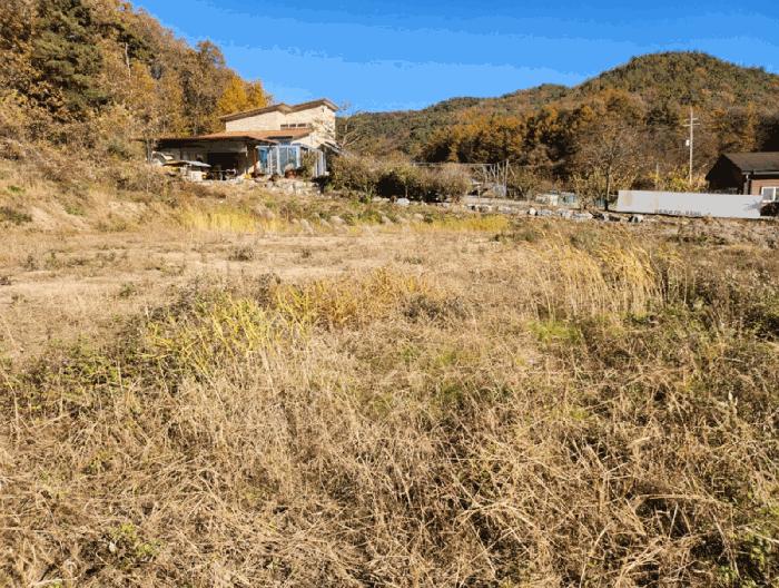 충청북도 음성군 금왕읍 금석리 20-3 전 경매 사진 9