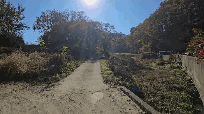 충청북도 음성군 음성읍 용산리 1834 전 경매 사진 2