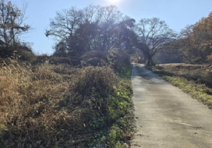 충청북도 음성군 음성읍 용산리 1834 전 경매 사진 6