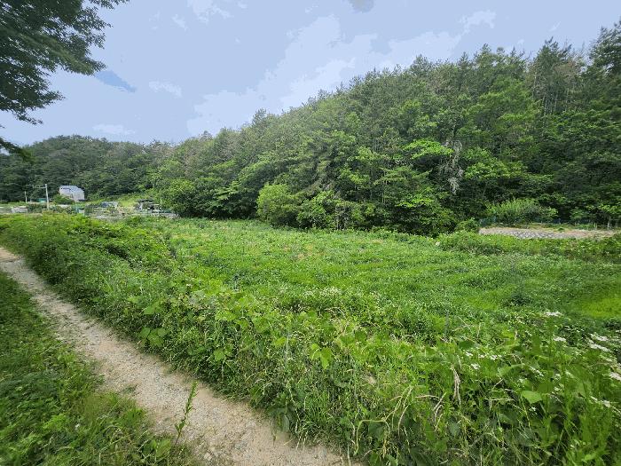 부산광역시 기장군 장안읍 오리 311 답 경매 사진 2
