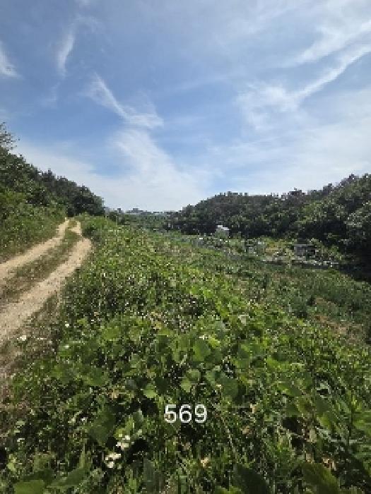 부산광역시 기장군 장안읍 오리 311 답 경매 사진 6
