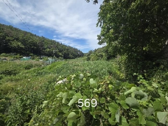 부산광역시 기장군 장안읍 오리 311 답 경매 사진 8