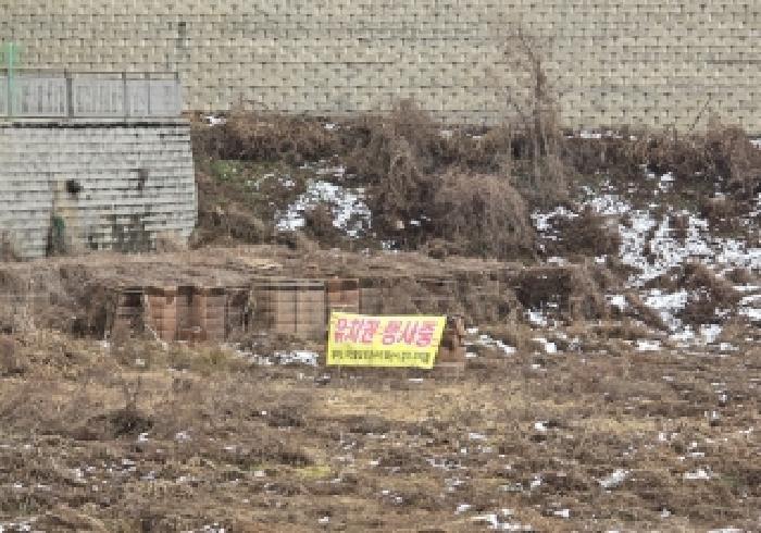 충청북도 음성군 음성읍 읍내리 54-2 전 경매 사진 12