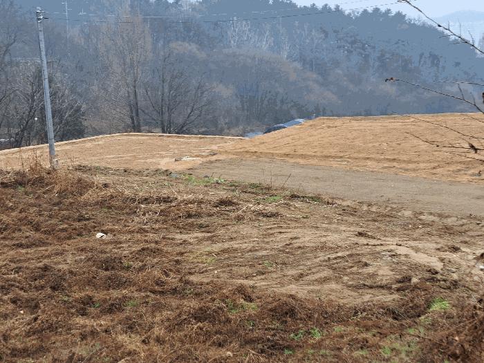 충청북도 음성군 음성읍 읍내리 54-2 전 경매 사진 3