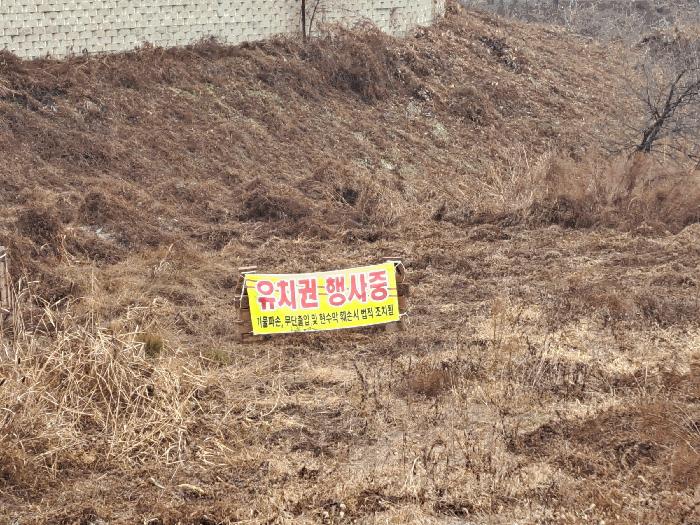 충청북도 음성군 음성읍 읍내리 54-2 전 경매 사진 7
