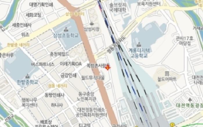 대전광역시 동구 정동 3-49 주택 경매 사진 16