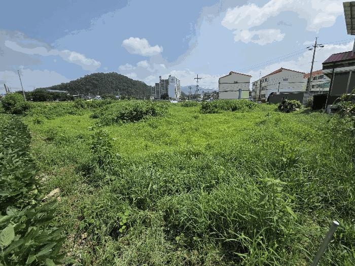 충청북도 음성군 감곡면 오향리 805 답 경매 사진 3