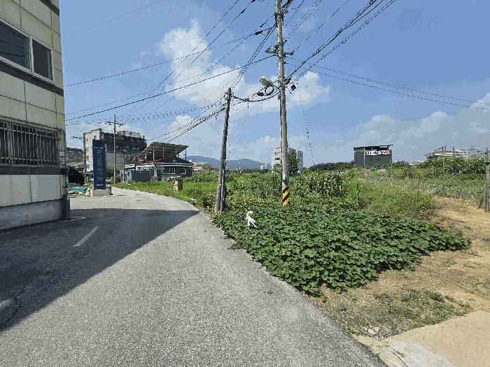 충청북도 음성군 감곡면 오향리 805 답 경매 사진 5
