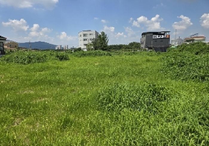 충청북도 음성군 감곡면 오향리 805 답 경매 사진 7