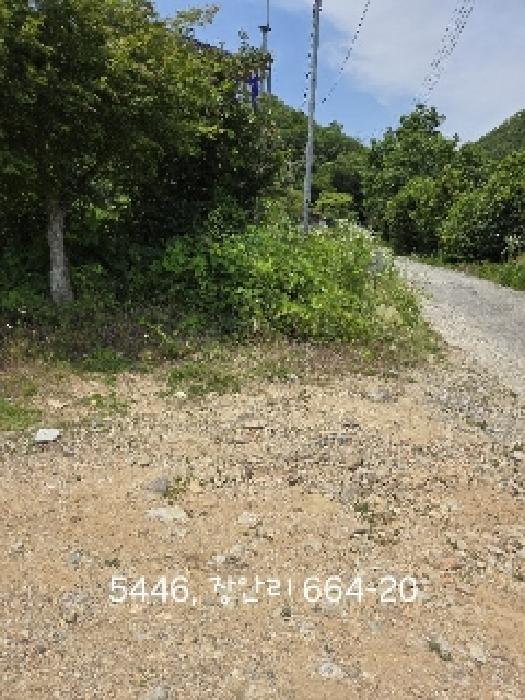 부산광역시 기장군 장안읍 장안리 산71-21 임야 경매 사진 11