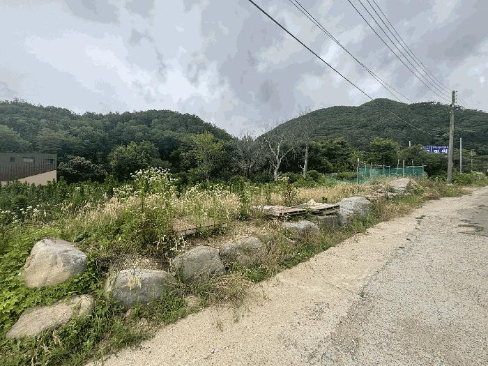 부산광역시 기장군 장안읍 장안리 산71-21 임야 경매 사진 2