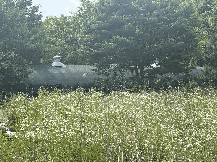 부산광역시 기장군 장안읍 장안리 산71-21 임야 경매 사진 5
