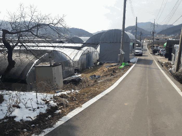 충청남도 금산군 추부면 장대리 418-1 답 경매 사진 12