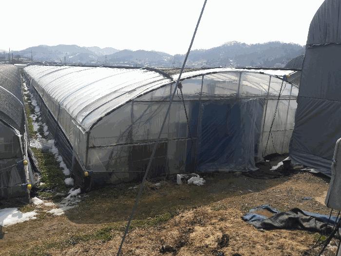 충청남도 금산군 추부면 장대리 418-1 답 경매 사진 13