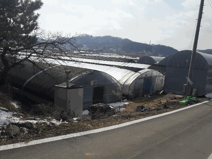충청남도 금산군 추부면 장대리 418-1 답 경매 사진 2