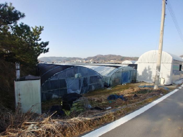 충청남도 금산군 추부면 장대리 418-1 답 경매 사진 20