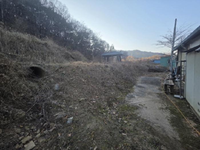 충청북도 제천시 송학면 포전리 311 전 경매 사진 11