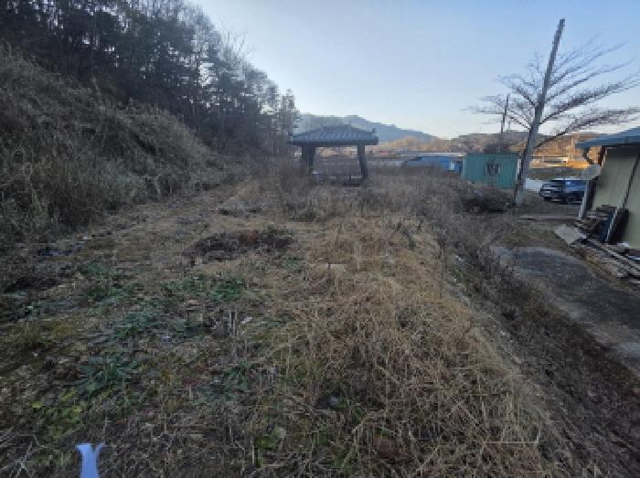 충청북도 제천시 송학면 포전리 311 전 경매 사진 13
