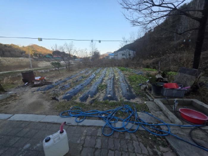 충청북도 제천시 송학면 포전리 311 전 경매 사진 17