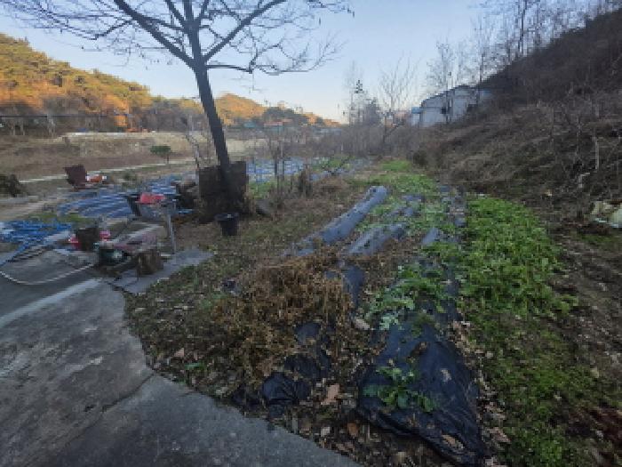 충청북도 제천시 송학면 포전리 311 전 경매 사진 8