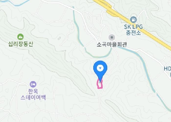 충청남도 금산군 금성면 마수리 115 전 경매 사진 17