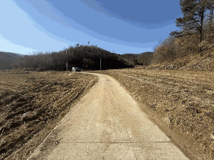 충청북도 충주시 앙성면 중전리 665-1 답 경매 사진 4