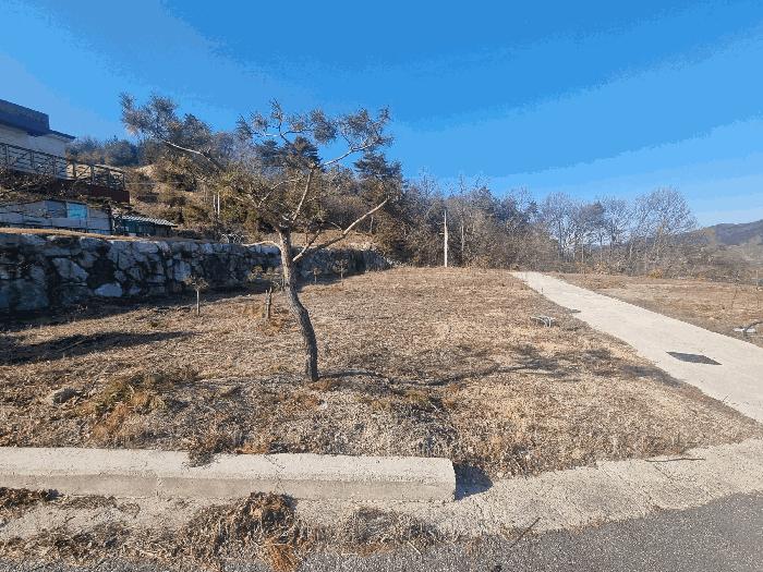 충청북도 충주시 앙성면 조천리 317-27 임야 경매 사진 1