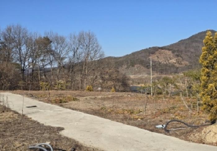 충청북도 충주시 앙성면 조천리 317-27 임야 경매 사진 12